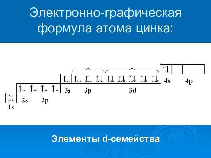 Электронно графическая схема