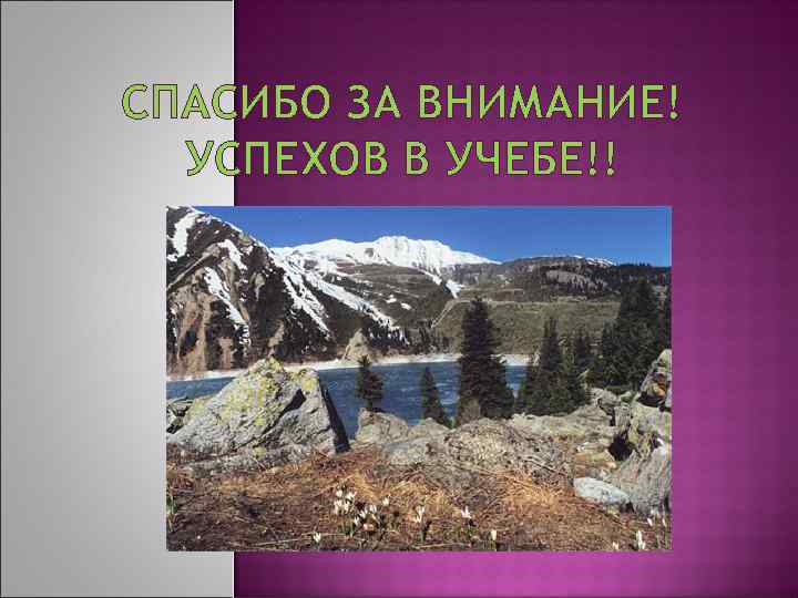 СПАСИБО ЗА ВНИМАНИЕ! УСПЕХОВ В УЧЕБЕ!! 