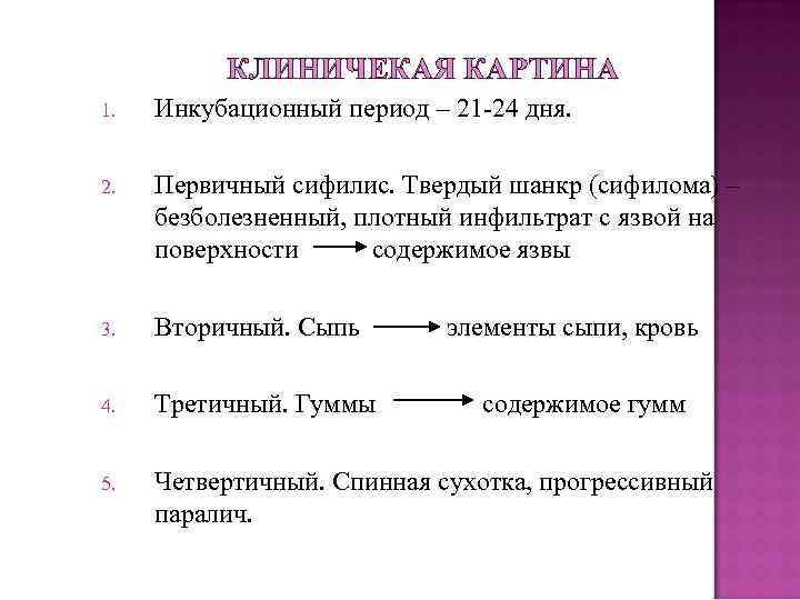 Период 21. Стадии развития твердого шанкра. Твердый шанкр этапы развития. Первичный сифилис инкубационный. Инкубационный период для первичного сифилиса составляет.