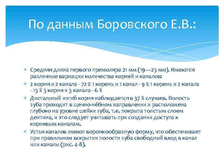 По данным Боровского Е. В. : Средняя длина первого премоляра 21 мм (19— 23