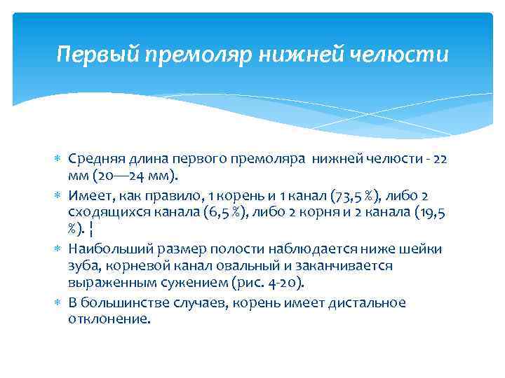 Первый премоляр нижней челюсти Средняя длина первого премоляра нижней челюсти - 22 мм (20—