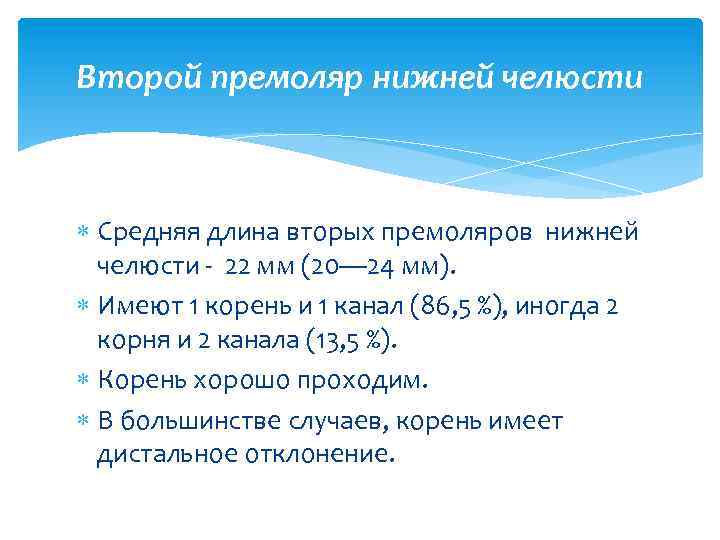 Второй премоляр нижней челюсти Средняя длина вторых премоляров нижней челюсти - 22 мм (20—
