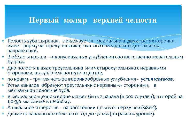 Первый моляр верхней челюсти Полость зуба широкая, локализуется медиально в двух третях коронки, имеет
