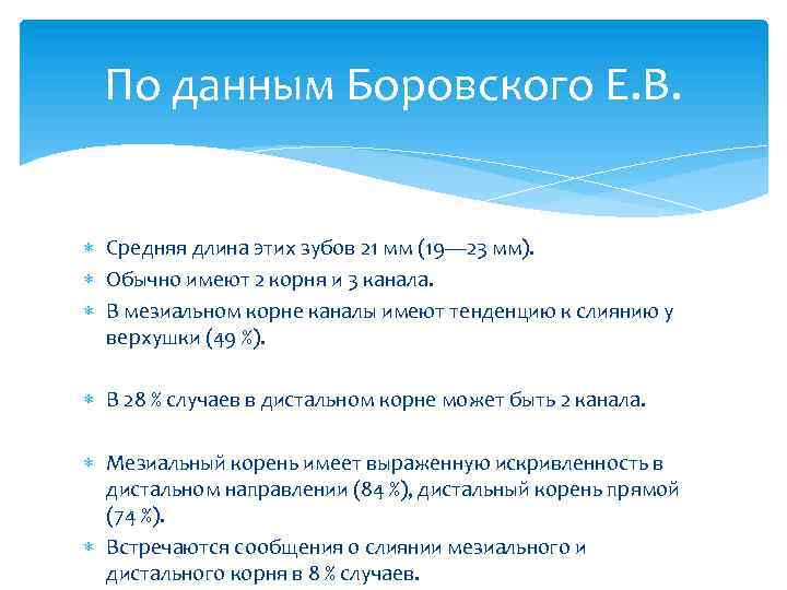 По данным Боровского Е. В. Средняя длина этих зубов 21 мм (19— 23 мм).