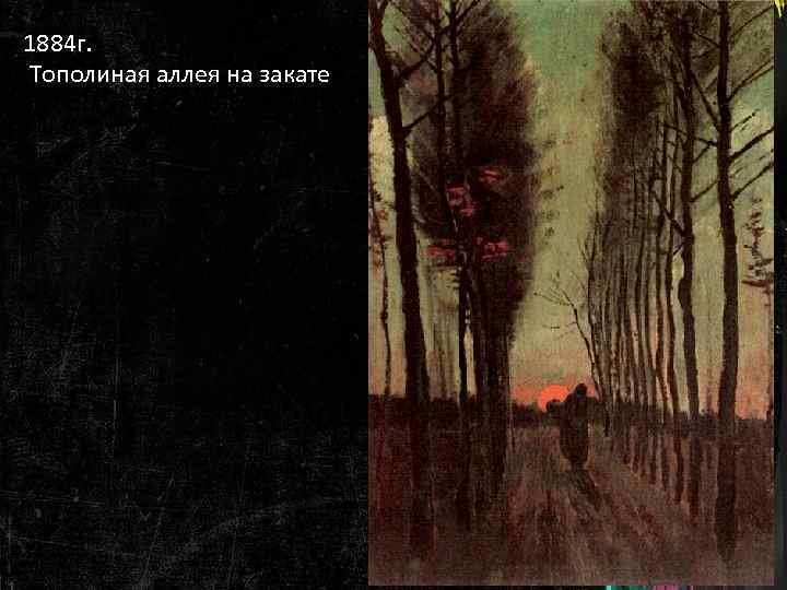 1884 г. Тополиная аллея на закате 