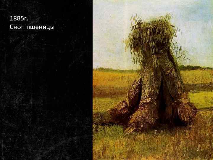 1885 г. Сноп пшеницы 
