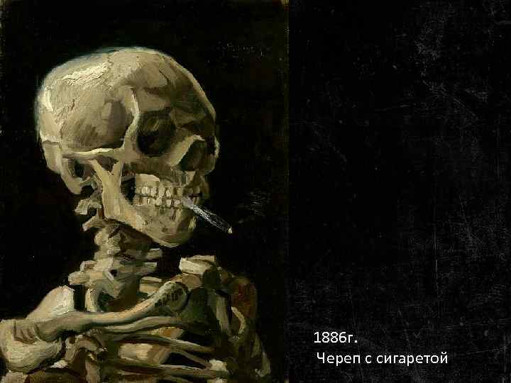 1886 г. Череп с сигаретой 