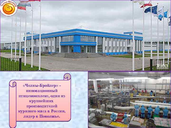 «Челны-Бройлер» - инновационный птицекомплекс, один из крупнейших производителей куриного мяса в России, лидер