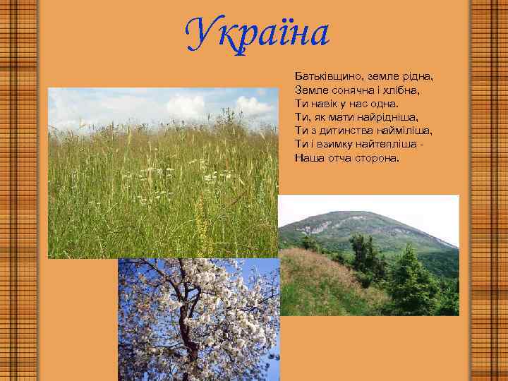 Україна Батьківщино, земле рідна, Земле сонячна і хлібна, Ти навік у нас одна. Ти,