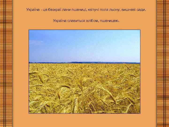 Україна - це безкраї лани пшениці, квітучі поля льону, вишневі сади. Україна славиться хлібом,