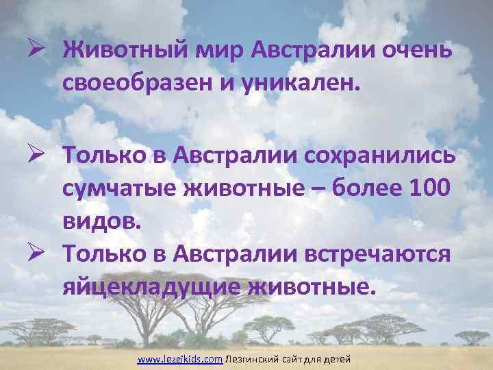 Ø Животный мир Австралии очень своеобразен и уникален. Ø Только в Австралии сохранились сумчатые