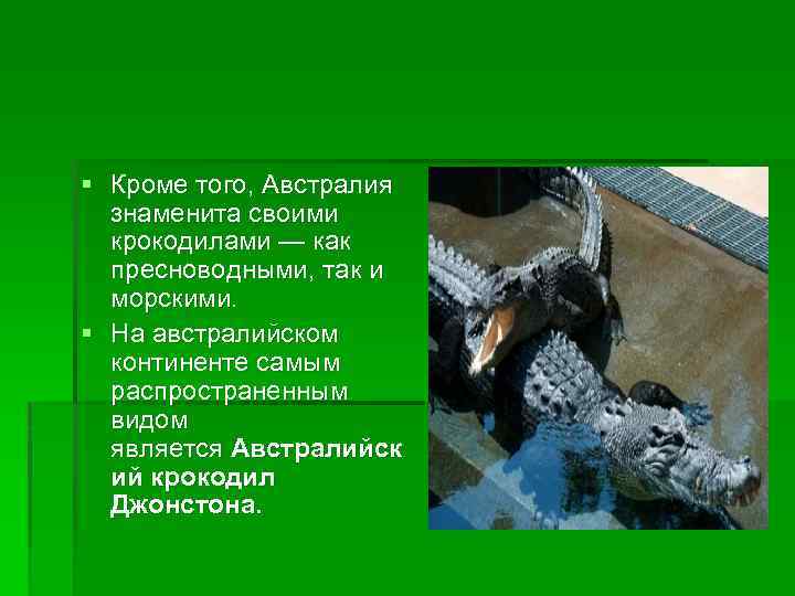 § Кроме того, Австралия знаменита своими крокодилами — как пресноводными, так и морскими. §