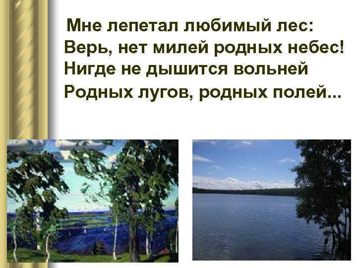 Мне лепетал любимый лес: Верь, нет милей родных небес! Нигде не дышится вольней Родных