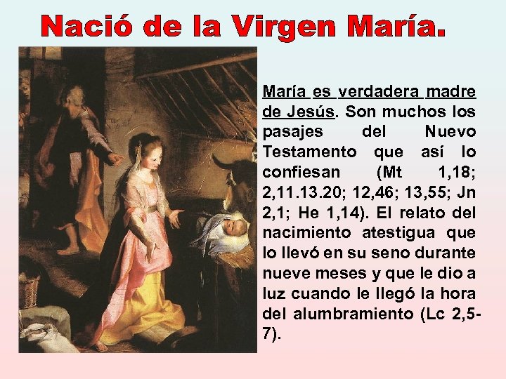 María es verdadera madre de Jesús. Son muchos los pasajes del Nuevo Testamento que