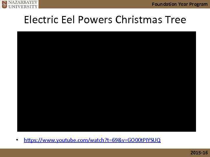Foundation Year Program Electric Eel Powers Christmas Tree • https: //www. youtube. com/watch? t=69&v=GO