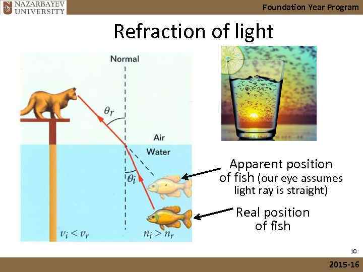 Foundation Year Program Refraction of light Apparent position of fish (our eye assumes light