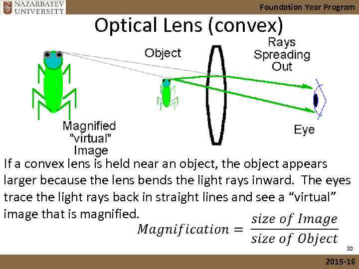 Foundation Year Program Optical Lens (convex) If a convex lens is held near an