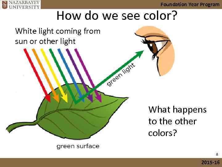 Foundation Year Program How do we see color? White light coming from sun or