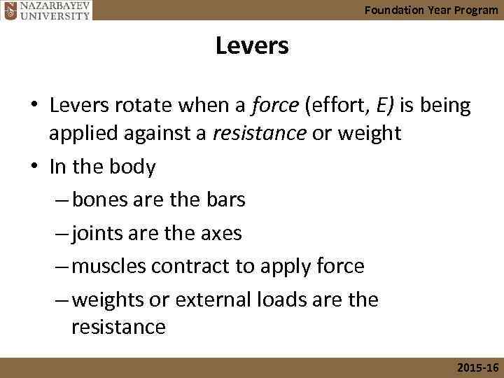 Foundation Year Program Levers • Levers rotate when a force (effort, E) is being