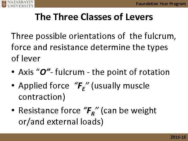 Foundation Year Program The Three Classes of Levers Three possible orientations of the fulcrum,