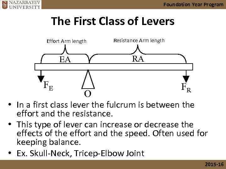 Foundation Year Program The First Class of Levers Effort Arm length Resistance Arm length