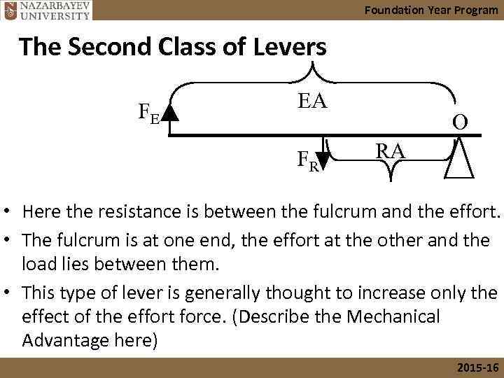 Foundation Year Program The Second Class of Levers FE EA FR O RA •