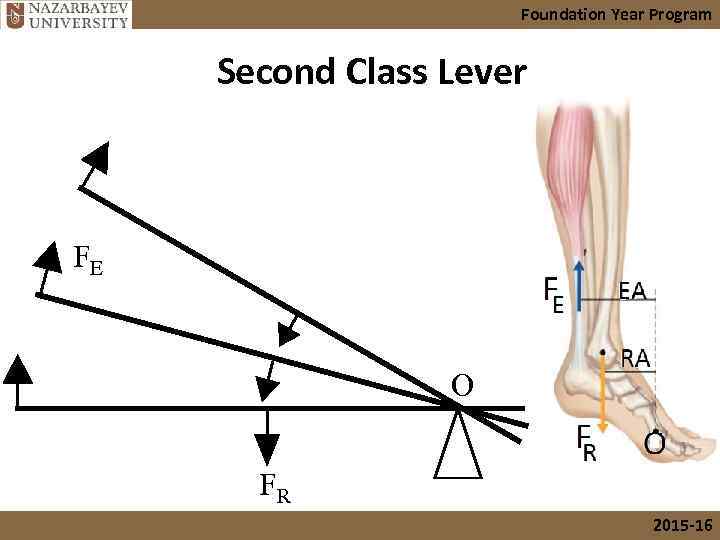 Foundation Year Program Second Class Lever FE O FR 2015 -16 