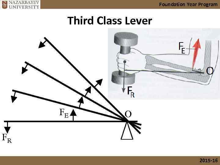 Foundation Year Program Third Class Lever FE O FR 2015 -16 