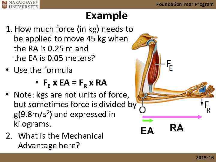 Foundation Year Program Example 1. How much force (in kg) needs to be applied