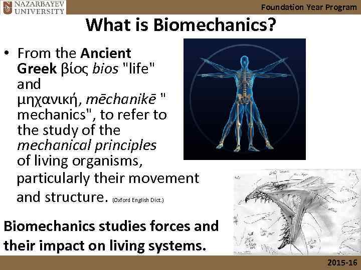 Foundation Year Program What is Biomechanics? • From the Ancient Greek βίος bios "life"