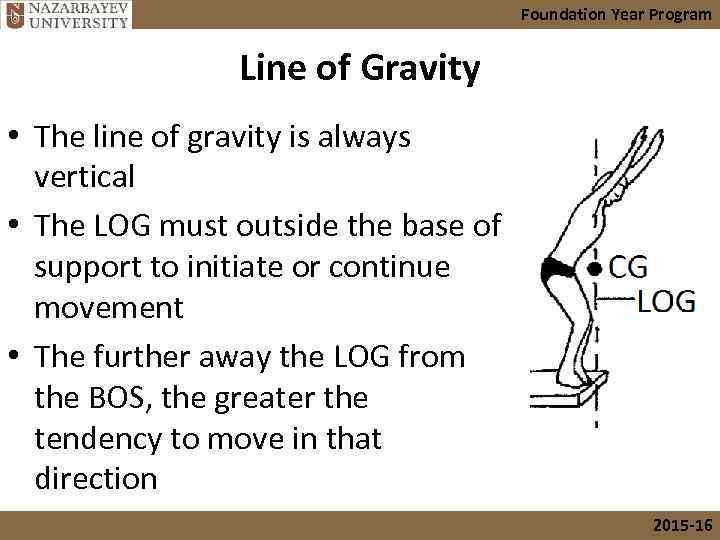 Foundation Year Program Line of Gravity • The line of gravity is always vertical