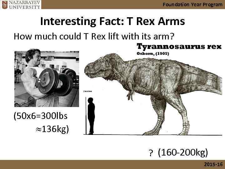 Foundation Year Program Interesting Fact: T Rex Arms How much could T Rex lift