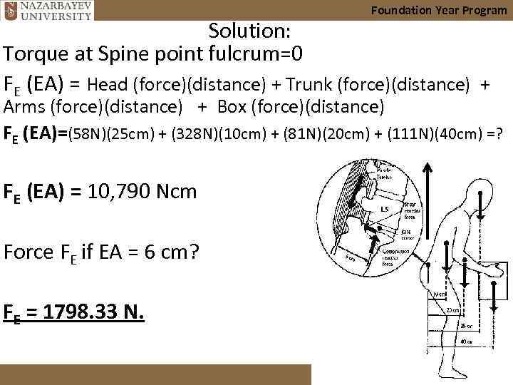 Foundation Year Program Solution: Torque at Spine point fulcrum=0 FE (EA) = Head (force)(distance)