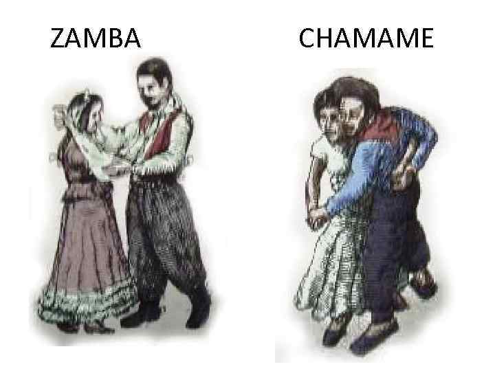 ZAMBA CHAMAME 