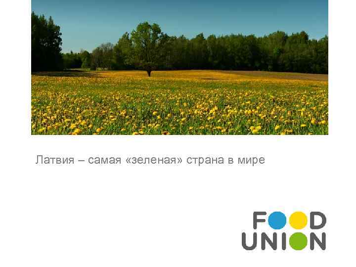 Латвия – самая «зеленая» страна в мире 