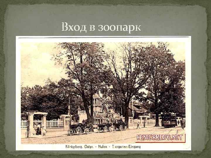 Вход в зоопарк 