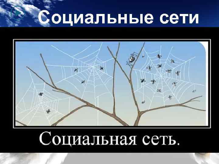 Социальные сети 