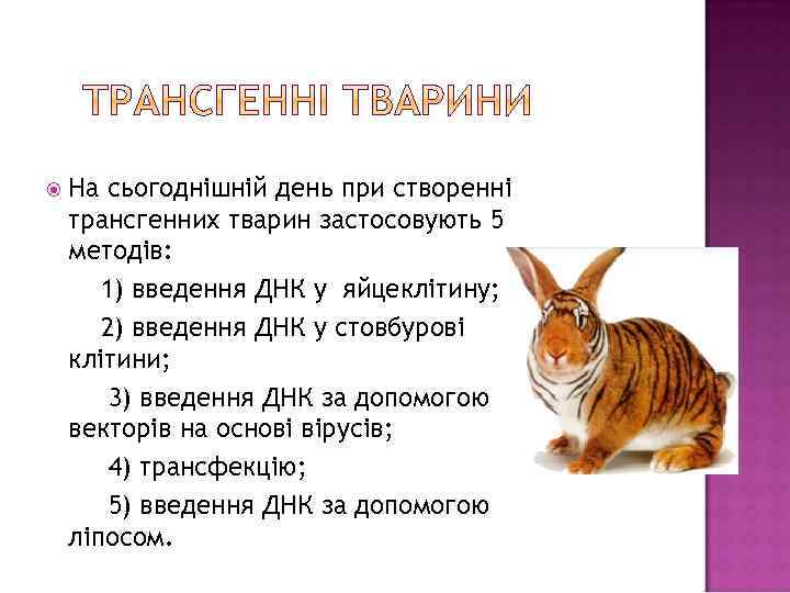  На сьогоднішній день при створенні трансгенних тварин застосовують 5 методів: 1) введення ДНК