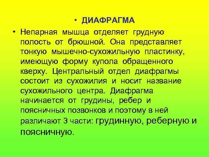  • ДИАФРАГМА • Непарная мышца отделяет грудную полость от брюшной. Она представляет тонкую