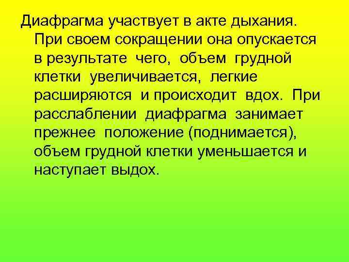 Диафрагма участвует в акте дыхания. При своем сокращении она опускается в результате чего, объем