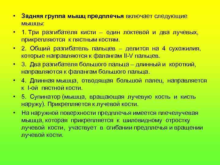  • Задняя группа мышц предплечья включает следующие мышцы: • 1. Три разгибателя кисти