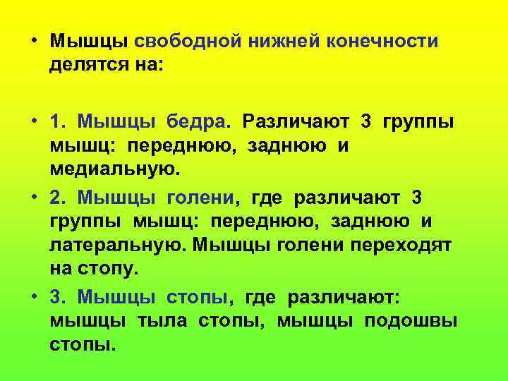  • Мышцы свободной нижней конечности делятся на: • 1. Мышцы бедра. Различают 3