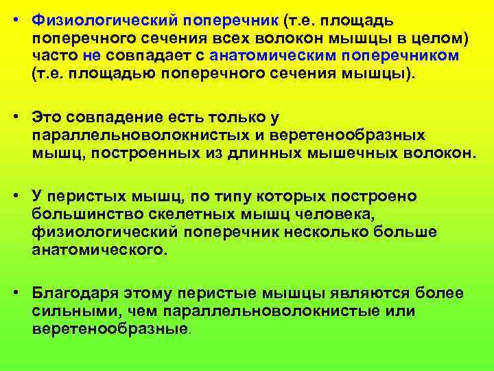  • Физиологический поперечник (т. е. площадь поперечного сечения всех волокон мышцы в целом)