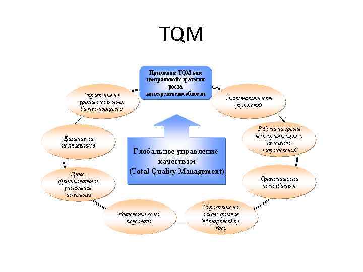 Определите место менеджера проекта в системе tqm