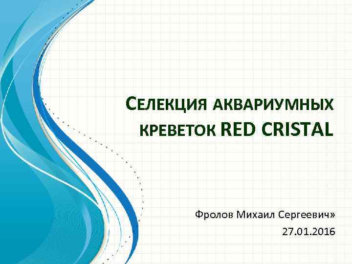 СЕЛЕКЦИЯ АКВАРИУМНЫХ КРЕВЕТОК RED CRISTAL Фролов Михаил Сергеевич» 27. 01. 2016 