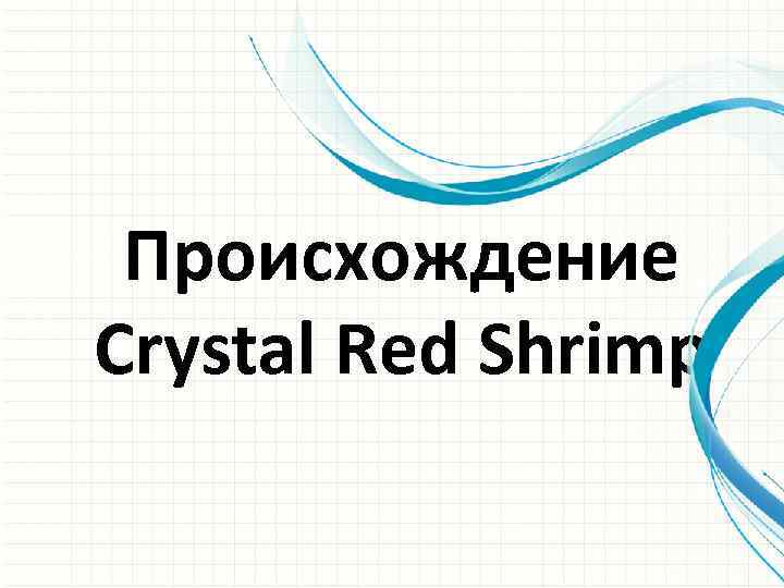 Происхождение Crystal Red Shrimp 