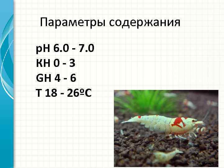 Параметры содержания р. Н 6. 0 - 7. 0 КН 0 - 3 GH