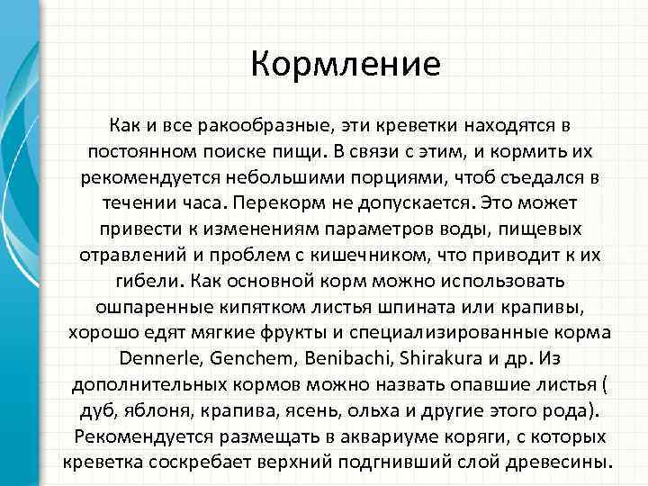 Кормление Как и все ракообразные, эти креветки находятся в постоянном поиске пищи. В связи