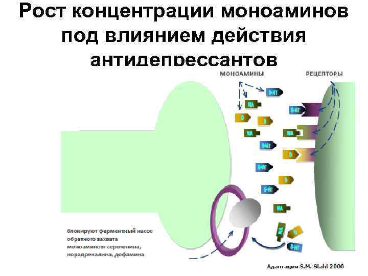 Рост концентрации моноаминов под влиянием действия антидепрессантов 