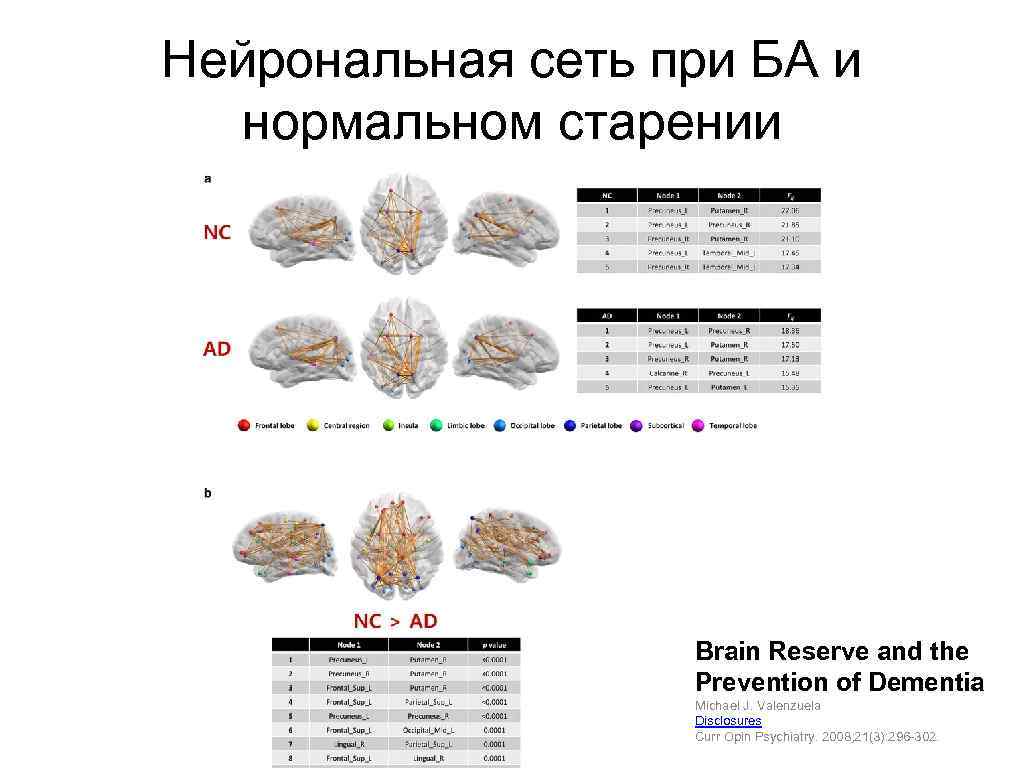 Нейрональная сеть при БА и нормальном старении Brain Reserve and the Prevention of Dementia